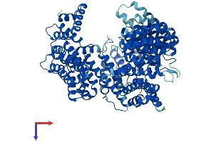 KPNB1 Protein (AA 1-876) (His tag)