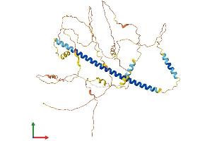 AlphaFold protein structure predicition of Human Recombinant CREB3L1 Protein, UniprotID Q96BA8