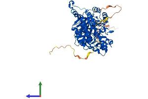 Protein Structure (PS) image for Dihydropyrimidinase-Like 2 (DPYSL2) (AA 1-572) protein (His tag) (ABIN7547235)