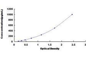 Interferon, alpha 10 (IFNa10) ELISA Kit