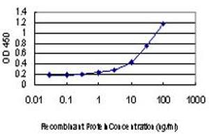 ELISA image for anti-Achalasia, Adrenocortical Insufficiency, Alacrimia (AAAS) (AA 1-100) antibody (ABIN563541)