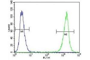 Flow Cytometry (FACS) image for anti-Lymphocyte-Specific Protein tyrosine Kinase (LCK) (AA 23-52) antibody (ABIN3031644)