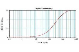 Image no. 1 for anti-Epidermal Growth Factor (EGF) antibody (ABIN465058) (EGF Antikörper)