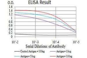 Black line: Control Antigen (100 ng);Purple line: Antigen (10ng); Blue line: Antigen (50 ng); Red line:Antigen (100 ng) (MITF Antikörper  (AA 1-114))