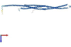 TEKT1 Protein (AA 1-418) (His tag)