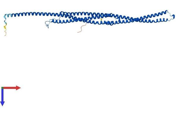 TEKT1 Protein (AA 1-418) (His tag)