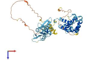 EIF5 Protein (AA 1-429) (His tag)