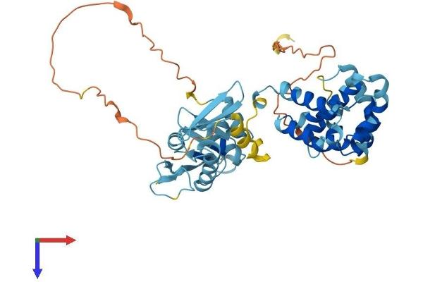 EIF5 Protein (AA 1-429) (His tag)