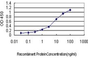 ELISA image for anti-Cell Division Cycle 25 Homolog C (S. Pombe) (CDC25C) (AA 21-130) antibody (ABIN560272)