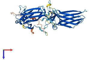 Arrestin 3 Protein (AA 1-409) (His tag)