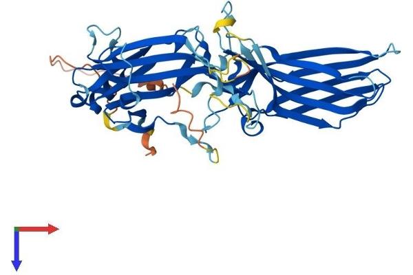 Arrestin 3 Protein (AA 1-409) (His tag)