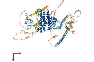 ARHGEF2 Protein (AA 1-985) (His tag)