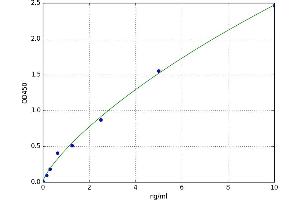 Protease, serine, 22 (PRSS22) ELISA Kit