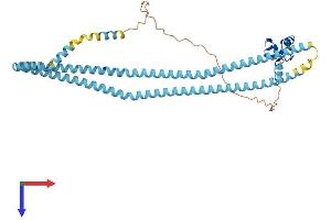 RNF26 Protein (AA 1-424) (His tag)