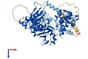 UBA2 Protein (AA 1-640) (His tag)