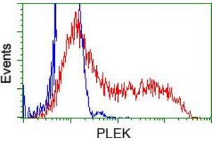 HEK293T cells transfected with either pCMV6-ENTRY PLEK (RC203780) (Red) or empty vector control plasmid (Blue) were immunostained with anti-PLEK mouse monoclonal (ABIN2453485), and then analyzed by flow cytometry. (Pleckstrin Antikörper)