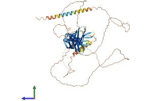 Protein Structure (PS) image for Synaptotagmin XVI (SYT16) (AA 1-639) protein (His tag) (ABIN7558224)