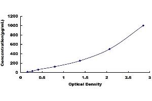 Typical standard curve (IL-5 ELISA Kit)