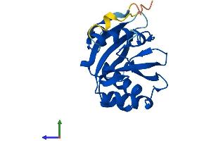 Protein Structure (PS) image for Nudix (Nucleoside Diphosphate Linked Moiety X)-Type Motif 16 (NUDT16) (AA 1-195) protein (His tag) (ABIN7554819)