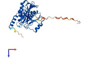 Endonuclease V Protein (ENDOV) (AA 1-282) (His tag)