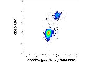 Flow cytometry multicolor surface staining of human lymphocytes stained using anti-human CD19 (LT19) APC antibody (10 μL reagent / 100 μL of peripheral whole blood) and anti-human CD307a (E3) purified antibody (5 μg/mL, GAM-FITC). (FCRL1 Antikörper)