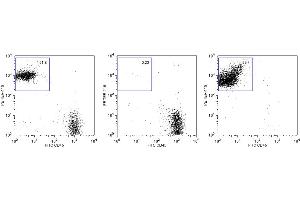 Flow Cytometry (FACS) image for Anti-Mouse Ter-119 Magnetic Particles (ABIN1305245) (Anti-Maus Ter-119 Magnetic Particles)