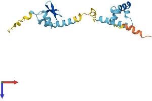 CGGBP1 Protein (AA 1-167) (His tag)