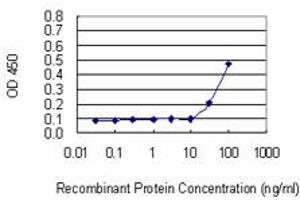 Detection limit for recombinant GST tagged C11orf17 is 3 ng/ml as a capture antibody. (AKIP1 Antikörper  (AA 111-210))