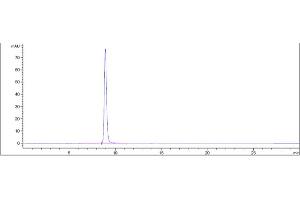 The purity of Anti-PMEL Reference Antibody (Genentech anti-PMEL17) is 99.