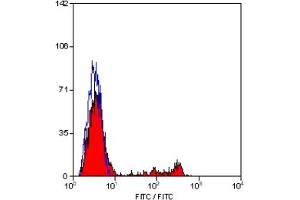 Staining of human peripheral blood lymphocytes with MOUSE ANTI HUMAN CD8:FITC (ABIN119507). (CD8 Antikörper  (FITC))