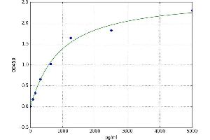 Microtubule-Associated Protein 1 Light Chain 3 alpha (MAP1LC3A) ELISA Kit