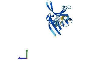 Protein Structure (PS) image for Phosphatidylinositol Glycan H (PIGH) (AA 1-188) protein (His tag) (ABIN7550734)