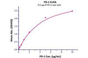 Immobilized Human PD-L1, His Tag  with a linear range of 0. (PD-1 Protein (AA 25-167) (Fc Tag))