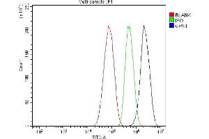 Flow Cytometry analysis of HepG2 cells using anti-CPN1 antibody (ABIN7600158).