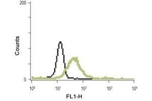 Flow Cytometry (FACS) image for anti-Melanocortin 3 Receptor (MC3R) (AA 102-117), (Extracellular) antibody (ABIN7043323)