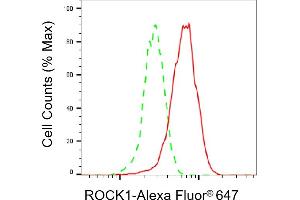 Flow cytometric analysis of ROCK1 expression in HepG2 cells using ROCK1 antibody (ABIN7800201), 1:2,000). (Rekombinanter ROCK1 Antikörper)