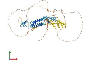 Protein Structure (PS) image for Pannexin 2 (PANX2) (AA 1-677) protein (His tag) (ABIN7557930)