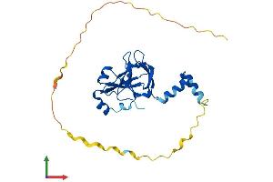 Protein Structure (PS) image for Centromere Protein V (CENPV) (AA 1-252) protein (His tag) (ABIN7560725)