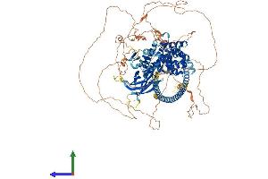 AlphaFold protein structure predicition of Mouse Recombinant Dab2ip Protein, UniprotID Q3UHC7