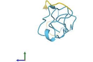 Protein Structure (PS) image for Metallothionein 1 (MT1) (AA 1-61) protein (Fc Tag) (ABIN7562727)