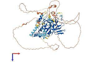 SETDB2 Protein (AA 1-713) (His tag)