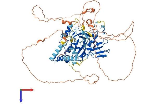SETDB2 Protein (AA 1-713) (His tag)
