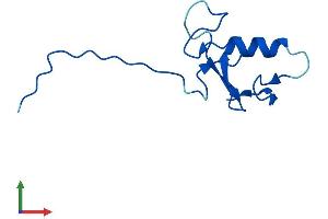 Protein Structure (PS) image for Anaphase Promoting Complex Subunit 11 (ANAPC11) (AA 1-84) protein (Fc Tag) (ABIN7560489)