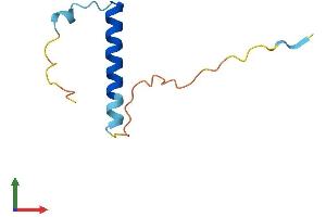 Protein Structure (PS) image for Neurogranin (NRGN) (AA 1-78) protein (Fc Tag) (ABIN7549828)
