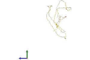 Protein Structure (PS) image for serine/arginine-Rich Splicing Factor 12 (SRSF12) (AA 1-266) protein (His tag) (ABIN7559198)