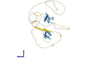 Protein Structure (PS) image for HIRA Interacting Protein 3 (HIRIP3) (AA 1-556) protein (His tag) (ABIN7548316)