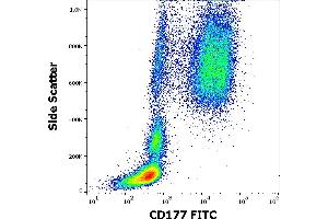 Flow cytometry surface staining pattern of human peripheral whole blood stained using anti-human CD177 (MEM-166) FITC antibody (20 μL reagent / 100 μL of peripheral whole blood). (CD177 Antikörper  (FITC))