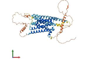Protein Structure (PS) image for Dopamine Receptor D5 (DRD5) (AA 1-477) protein (His tag) (ABIN7547260)