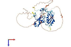 C9orf156 Protein (AA 1-431) (His tag)