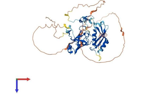C9orf156 Protein (AA 1-431) (His tag)